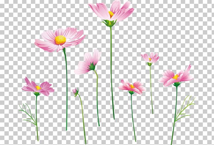 Flower Bouquet Painting Desktop PNG, Clipart, Annual Plant, Cicekler, Computer Wallpaper, Cosmos, Cut Flowers Free PNG Download