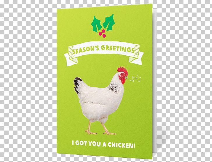 Rooster Christmas Gift Christmas Gift Santa Claus PNG, Clipart,  Free PNG Download
