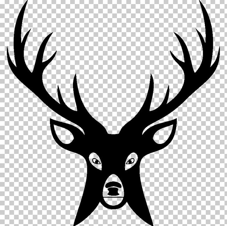 White-tailed Deer PNG, Clipart, Animals, Antler, Artwork, Black And White, Cerf Free PNG Download