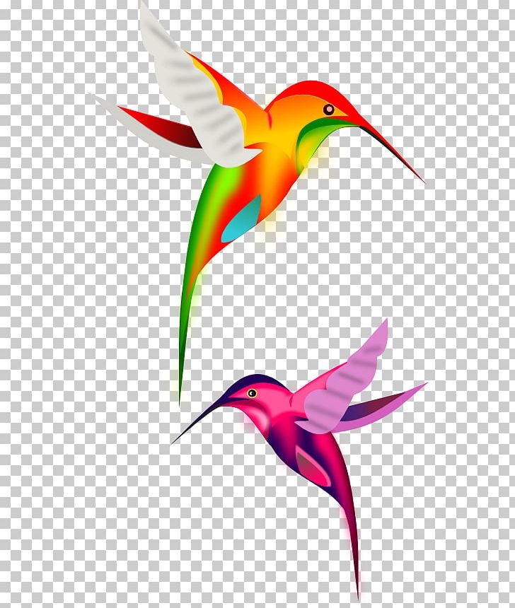 Bird PNG, Clipart, Animals, Animation, Beak, Bird, Bird Flight Free PNG Download