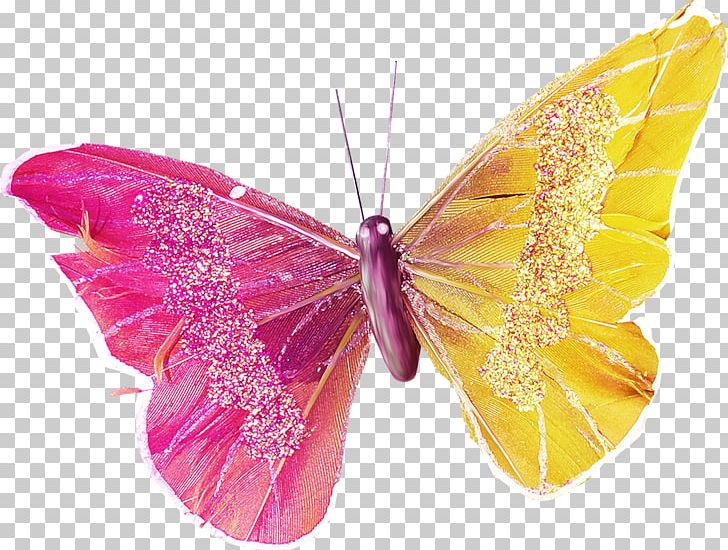 Butterfly Insect Moth PNG, Clipart, Arthropod, Brush Footed Butterfly, Butterflies And Moths, Butterfly, Color Free PNG Download