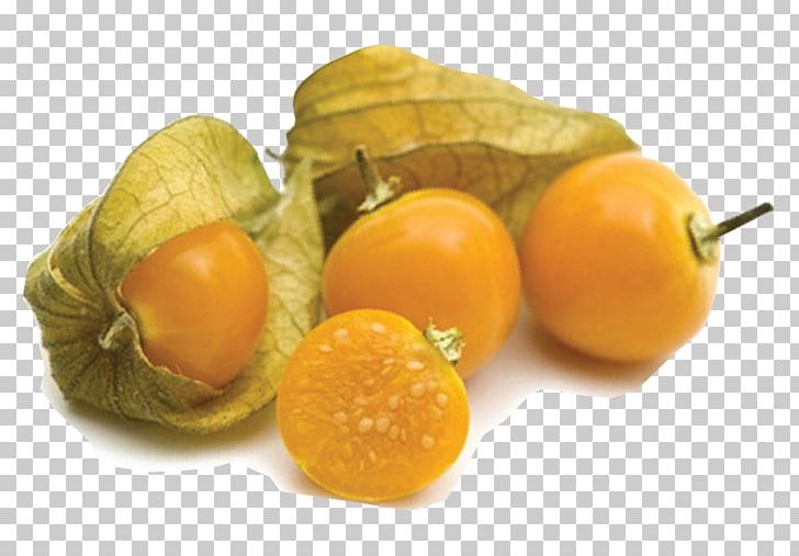 Clementine Peruvian Groundcherry Fruit Food Vegetable PNG, Clipart, Avocado, Citrus, Clementine, Diet Food, Drink Free PNG Download