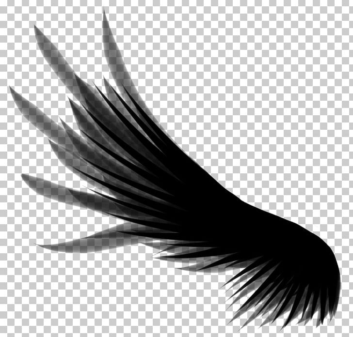 Others Wings Desktop Wallpaper PNG, Clipart, Angel, Angel Wings, Beak, Black And White, Brush Free PNG Download