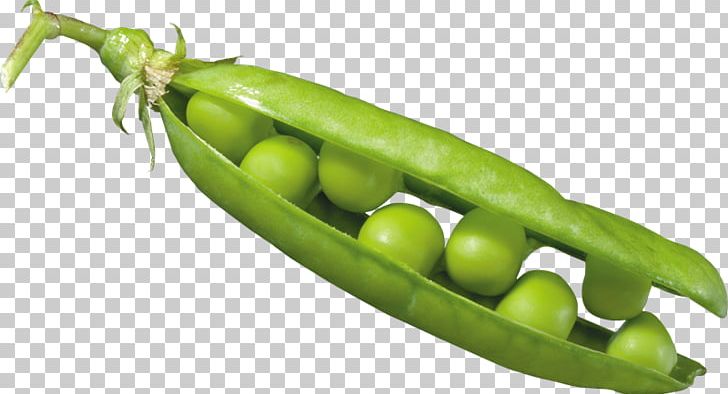 Pea Computer Icons PNG, Clipart, Bean, Broad Bean, Chili Pepper, Clip Art, Commodity Free PNG Download
