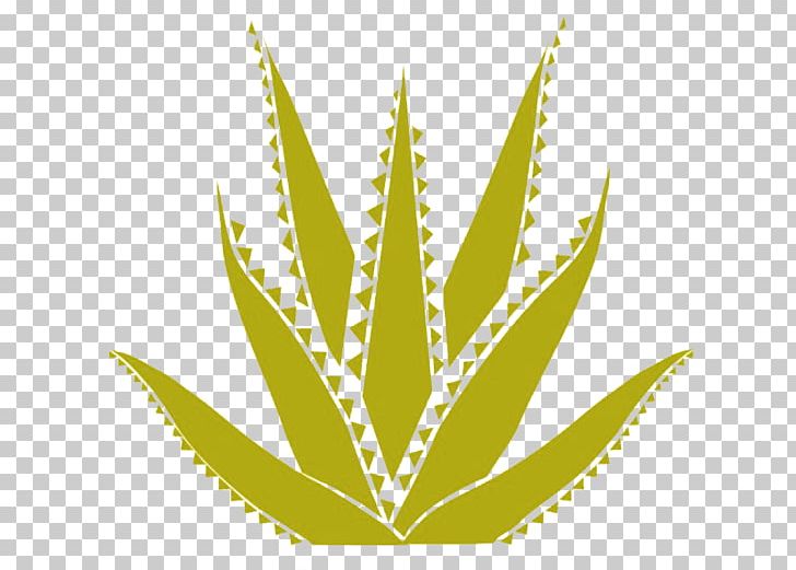 Agave Club Austin Live Band Karaoke Nightclub Leaf Hemp PNG, Clipart, Aloe, Aloe Vera, Austin, Grass, Hemp Free PNG Download