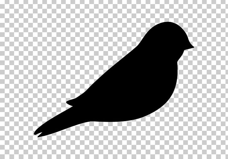 Bird Of Prey Buzzard PNG, Clipart, Animals, Beak, Bird, Bird Of Prey, Bird Silhouette Free PNG Download