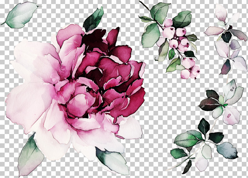Floral Design PNG, Clipart, Chinese Peony, Floral Design, Flower, Leaf, Magnolia Free PNG Download