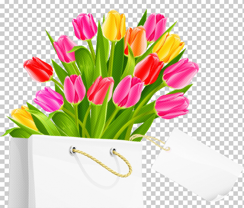 Flower Cut Flowers Tulip Flowerpot Plant PNG, Clipart, Bouquet, Cut Flowers, Flower, Flowerpot, Petal Free PNG Download