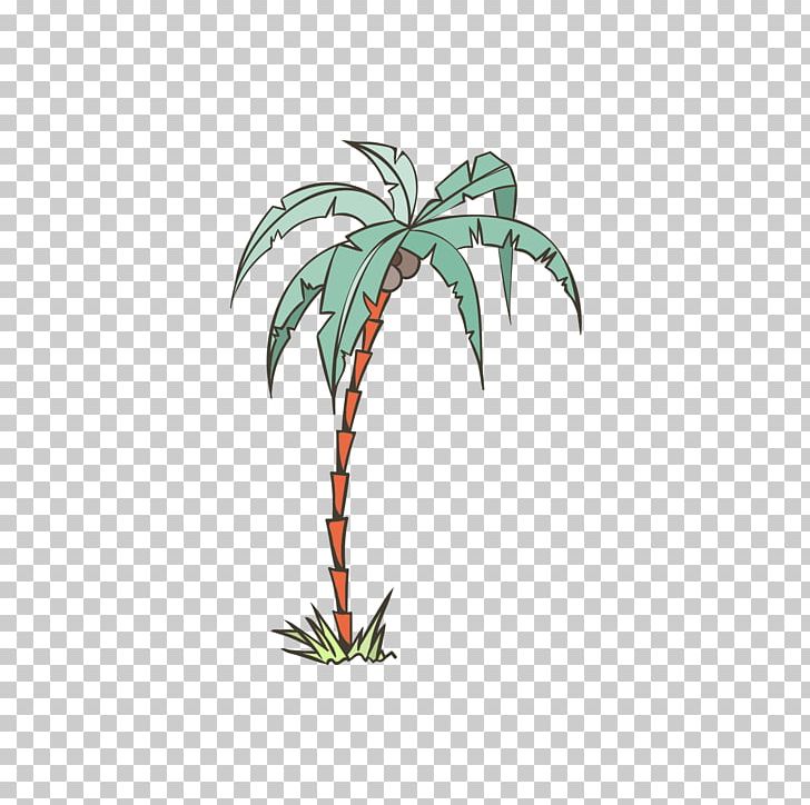 Arecaceae Illustration PNG, Clipart, Arecales, Auglis, Branch, Christmas Tree, Coconut Free PNG Download