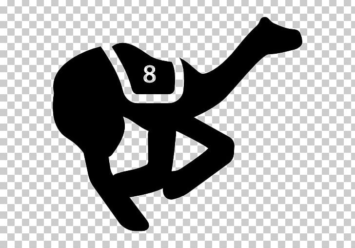 Dromedary Camel Racing Computer Icons PNG, Clipart, Area, Black And White, Camel, Camel Racing, Computer Icons Free PNG Download