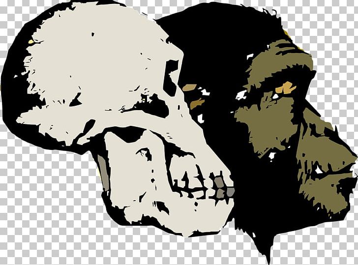 Evolution As Fact And Theory Evolution As Fact And Theory Homo Sapiens Human Evolution PNG, Clipart, Animals, Art, Bone, Creationism, Evolution Free PNG Download