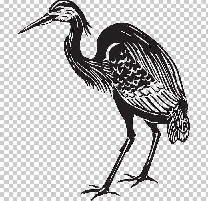 Great Blue Heron Crane Bird PNG, Clipart, Animal, Art, Beak, Bird, Black And White Free PNG Download