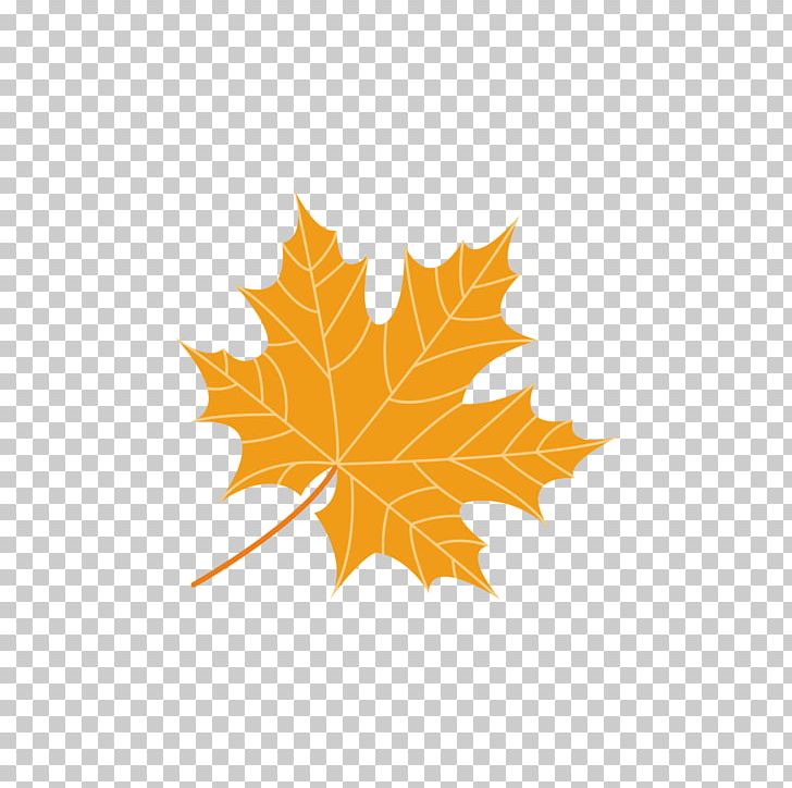 Maple Leaf Green PNG, Clipart, Angle, Angle Vector, Autumn, Autumn Leaves, Banana Leaves Free PNG Download
