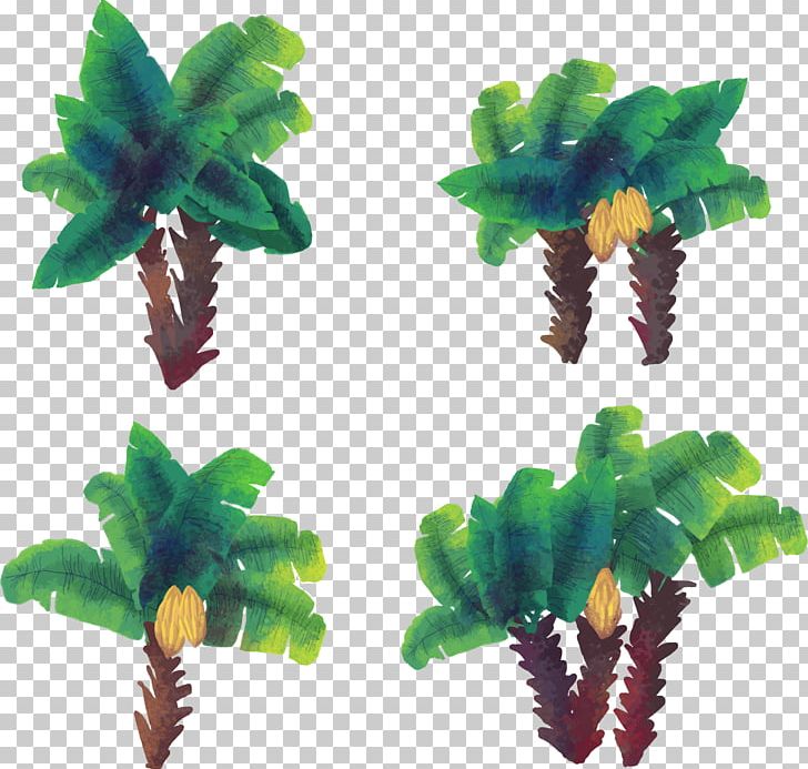 Coconut Arecaceae Euclidean Watercolor Painting Tree PNG, Clipart, Art, Christmas Tree, Encapsulated Postscript, Flowerpot, Fruit Nut Free PNG Download