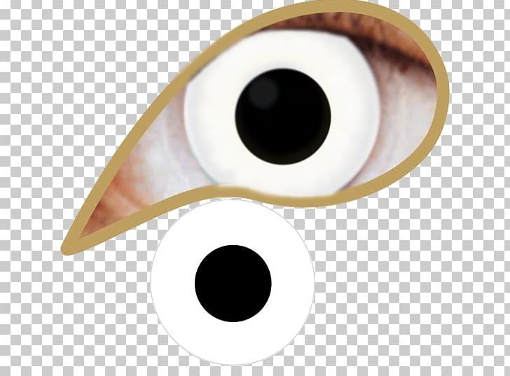 Eye Sclera Tweedehands.nl Contact Lenses PNG, Clipart, Amyotrophic Lateral Sclerosis, Assortment Strategies, Attention, Cat, Contact Lenses Free PNG Download