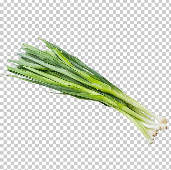 Edamame Garlic Vegetable Bean PNG, Clipart, Allium Fistulosum, Bean, Bell Pepper, Cauliflower, Creative Ads Free PNG Download