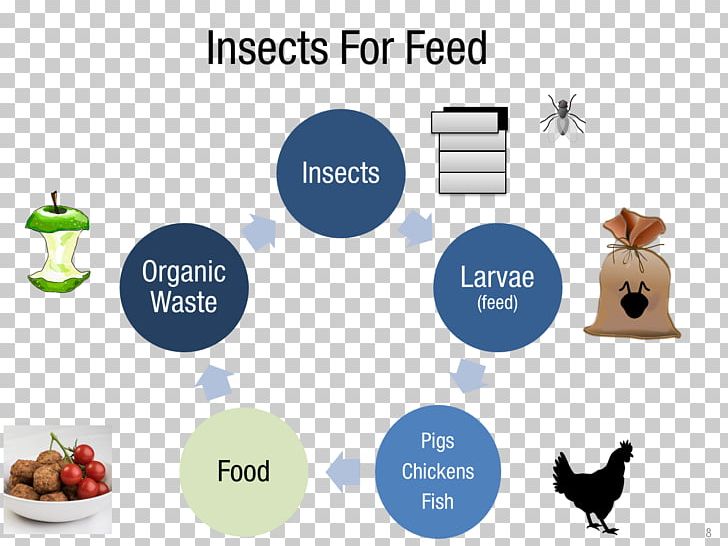 Insect Farming Business Management Food PNG, Clipart, Animal Feed, Animals, Brand, Business, Catering Free PNG Download