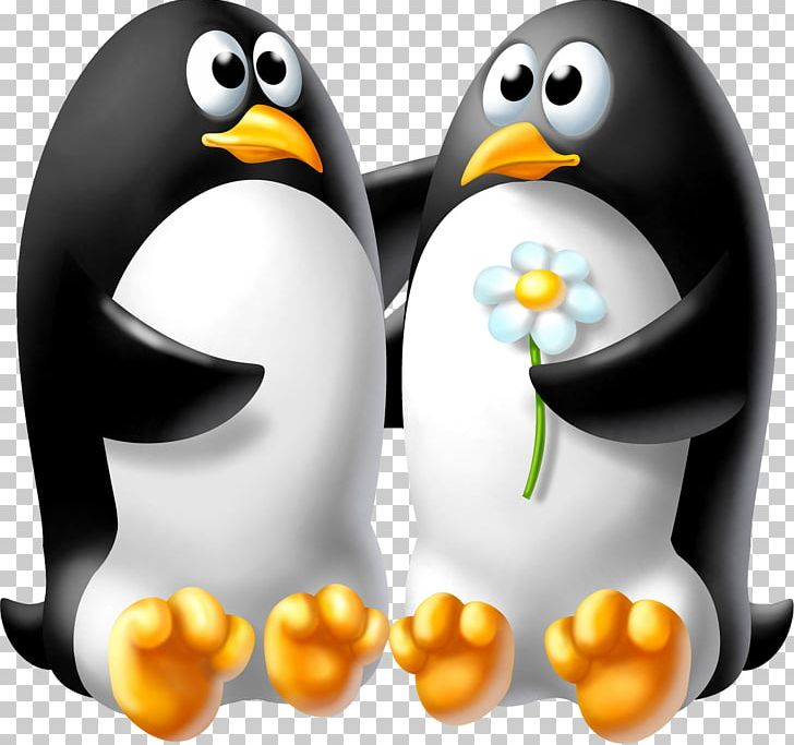 Penguin Desktop Child PNG, Clipart, 1080p, Animals, Beak, Bird, Child Free PNG Download