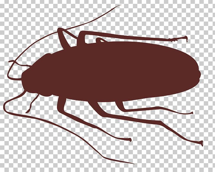 Cockroach Insect Silhouette PNG, Clipart, Animal, Animals, Arthropod, Beetle, Black And White Free PNG Download