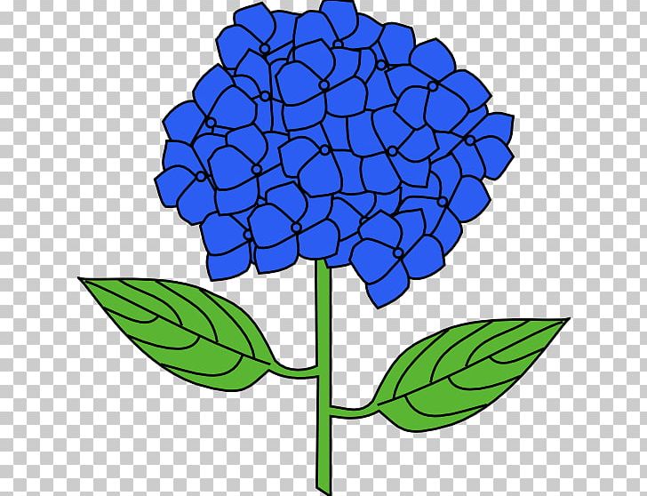 French Hydrangea Flower Drawing PNG, Clipart, Artwork, Color, Cut Flowers, Drawing, Flora Free PNG Download
