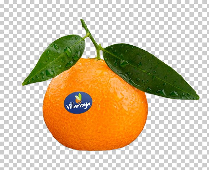 Clementine Mandarin Orange Tangerine Rangpur Tangelo PNG, Clipart, Acid, Bitter Orange, Blood, Blood Orange, Calamondin Free PNG Download
