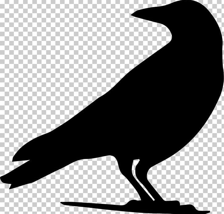 Drawing Crow Silhouette PNG, Clipart, American Crow, Animals, Art, Beak, Bird Free PNG Download