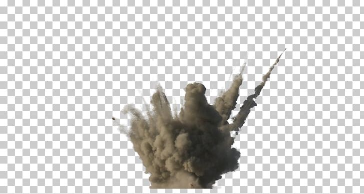 Explosion Nuclear Weapon PNG, Clipart, Branch, Dirt, Explosion, Fire, Firestorm Free PNG Download