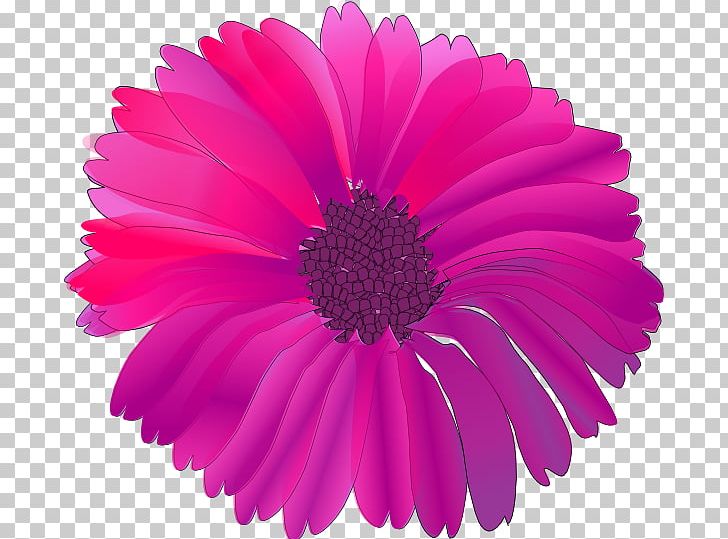 Pink Flowers PNG, Clipart, Annual Plant, Aster, Chrysanths, Color, Cut Flowers Free PNG Download