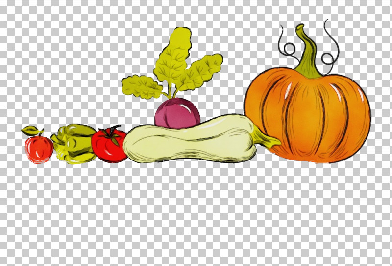 Squash Winter Squash Gourd Calabaza Natural Foods PNG, Clipart, Autumn, Calabaza, Fruit, Gourd, Harvest Free PNG Download