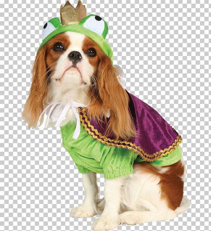 Dog Costume Pet Clothing PNG, Clipart, Animal, Animals, Breed, Buycostumescom, Cat Free PNG Download