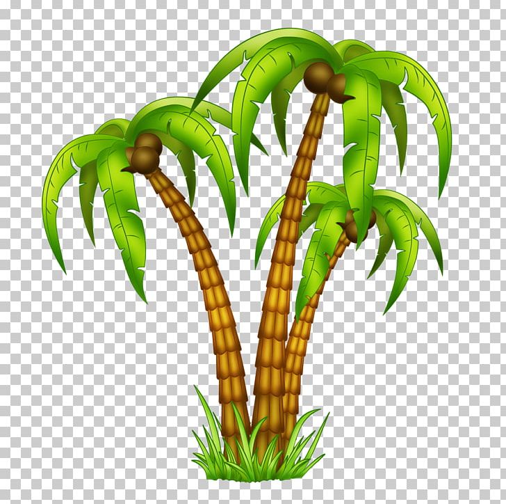 Drawing Tropics Arecaceae PNG, Clipart, Animation, Aquarium Decor, Arecaceae, Cumbia, Drawing Free PNG Download