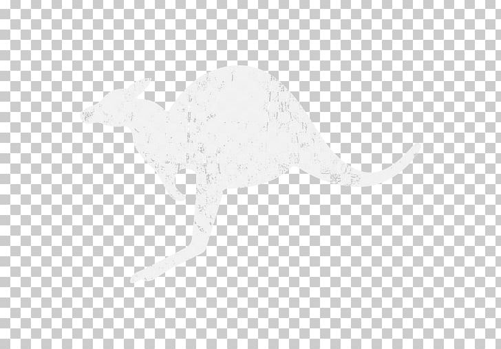 Kangaroo Silhouette Black Tail White PNG, Clipart, Animals, Black, Black And White, Decal, Dinosaur Free PNG Download