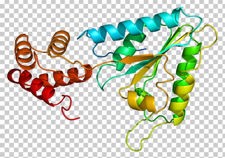 N-ethylmaleimide Sensitive Fusion Protein SNARE PNG, Clipart, 2 N, Area, Artwork, Conformational Change, Enzyme Free PNG Download