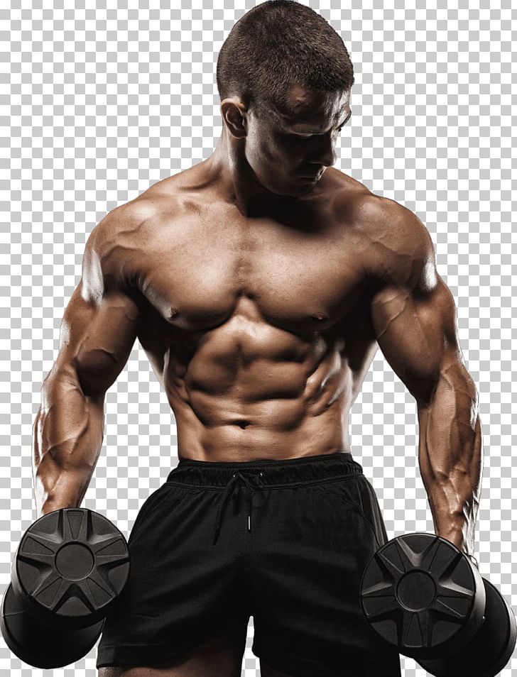 تناسب‌اندام Sport Bodybuilding Mobile Phones PNG, Clipart, Abdomen, Aggression, Arm, Biceps Curl, Bodybuilder Free PNG Download