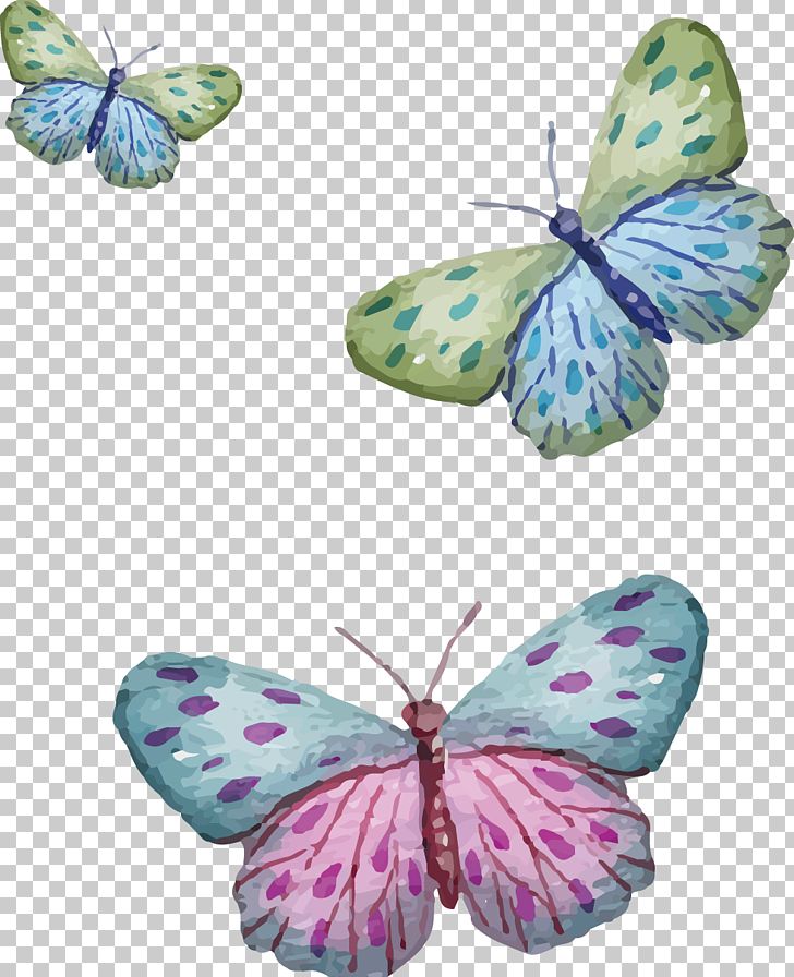 Painted Three Butterfly PNG, Clipart, Animal, Aqua, Brush Footed Butterfly, Butterflies And Moths, Cartoon Free PNG Download