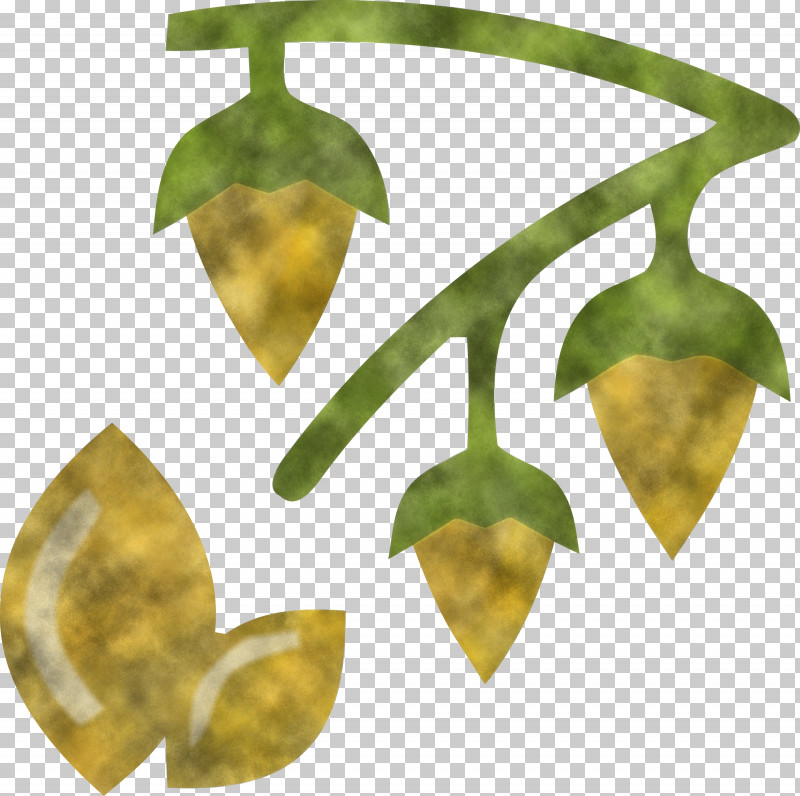 Pongal PNG, Clipart, Biology, Fruit, Leaf, Plants, Plant Structure Free PNG Download