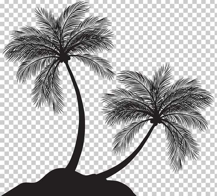 Arecaceae Silhouette PNG, Clipart, Are, Arecales, Art, Black And White, Borassus Flabellifer Free PNG Download