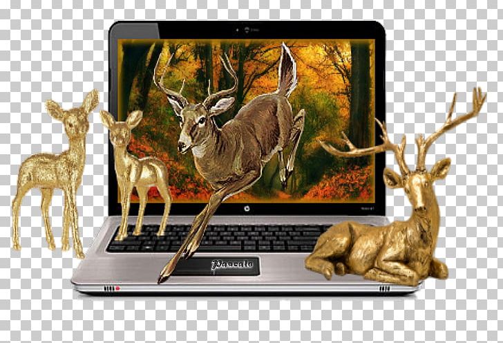 Deer Hewlett-Packard Technology HP Pavilion Wildlife PNG, Clipart, Animals, Cerf, Deer, Hewlettpackard, Hp Pavilion Free PNG Download