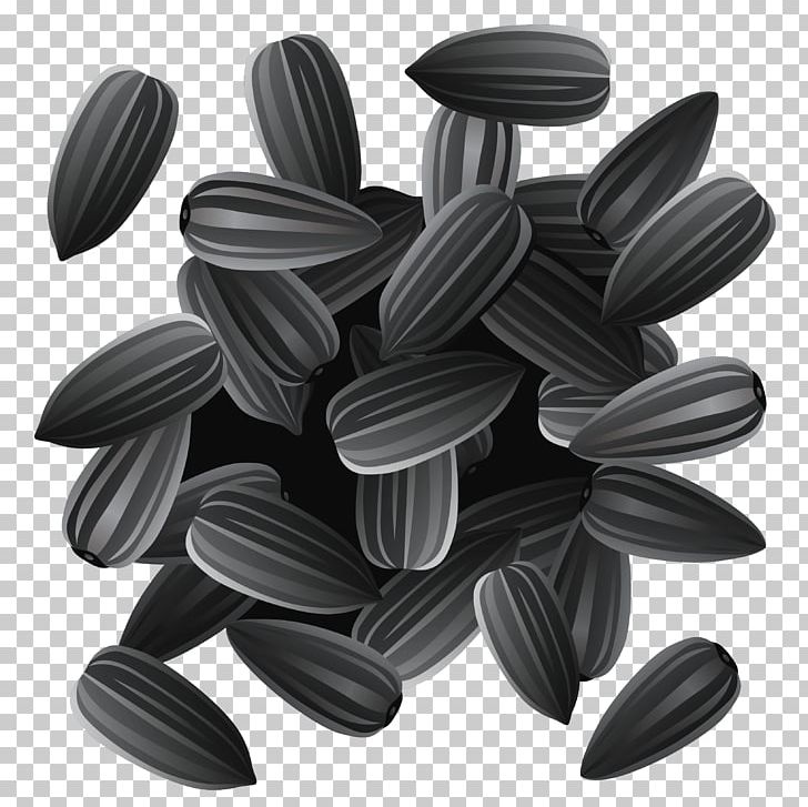 Sunflower Seed Common Sunflower PNG, Clipart, Black And White, Common Sunflower, Heirloom Plant, Miscellaneous, Nut Free PNG Download