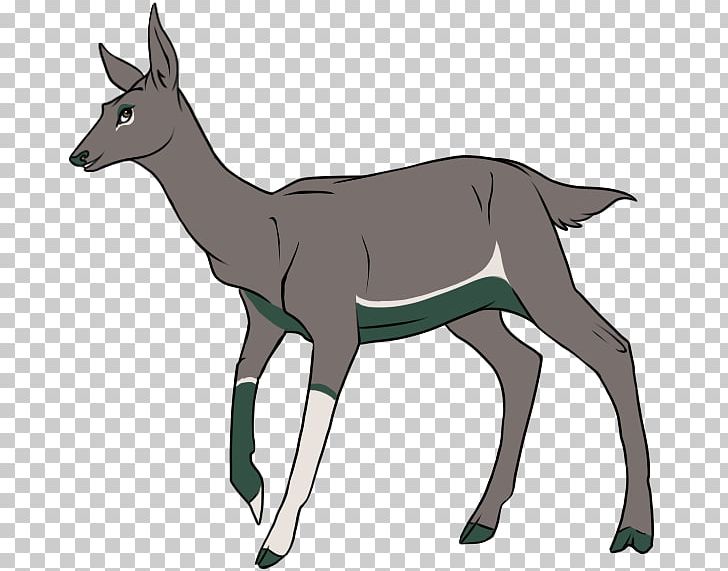 Antelope Goat Reindeer Elk PNG, Clipart, Animal, Animals, Antelope, Antler, Caprinae Free PNG Download