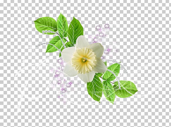 Flowering Plant Red White Green PNG, Clipart, Blue, Color, Deco, Flatcast, Flower Free PNG Download