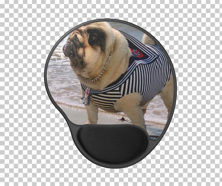 Pug Dog Breed Sailor Puppy Coat PNG, Clipart, Animals, Breed, Carnivoran, Christmas, Coat Free PNG Download