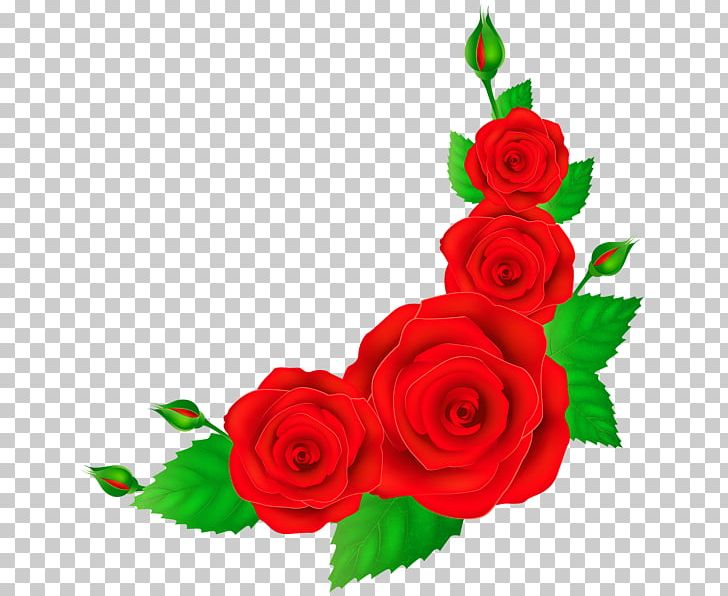 Rose Flower Red Pink PNG, Clipart, Color, Cut Flowers, Dahlia, Floral Design, Floristry Free PNG Download