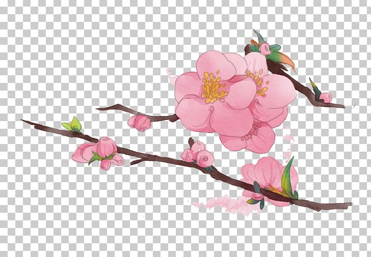 Tree Branch Begonia PNG, Clipart, Begonia Tree, Blossom, Branch, Buckle, Christmas Tree Free PNG Download