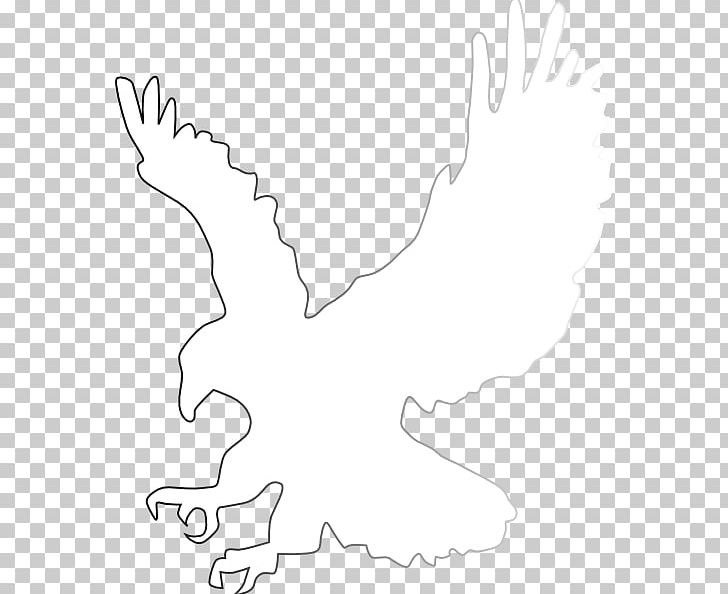 White Black Angle PNG, Clipart, Angle, Area, Black, Black And White, Eagle Silhouette Cliparts Free PNG Download