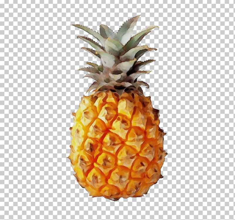 Pineapple PNG, Clipart, Ananas Oorbellen, Cartoon, Delivery, Earring, Fruit Free PNG Download