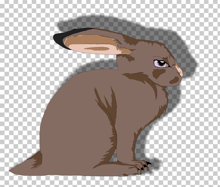 Domestic Rabbit Hare Wildlife Cartoon PNG, Clipart, Animals, Carnivora, Carnivoran, Cartoon, Domestic Rabbit Free PNG Download