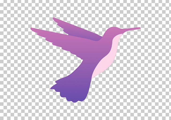 Hummingbird PNG, Clipart, Alta, Animals, Beak, Bird, Colibri Free PNG Download