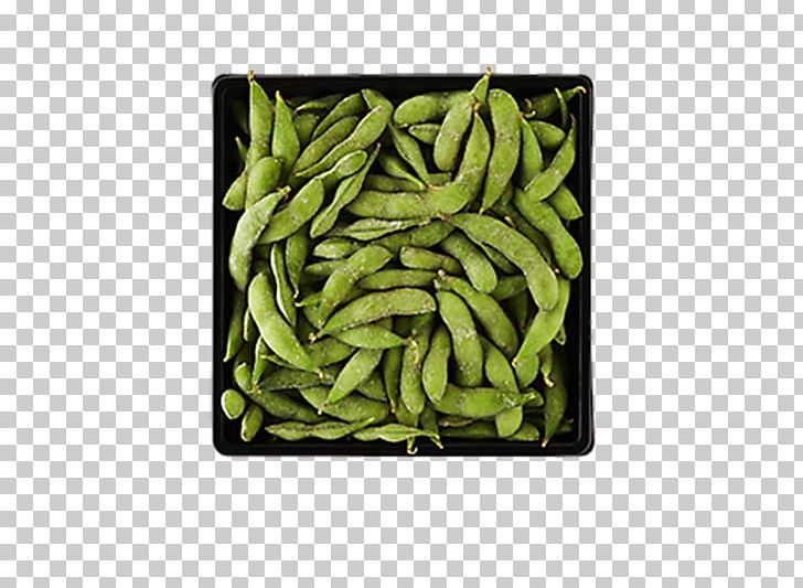 Edamame Vegetarian Cuisine Lima Bean Food Commodity PNG, Clipart, Commodity, Edamame, Food, Grass, Ingredient Free PNG Download
