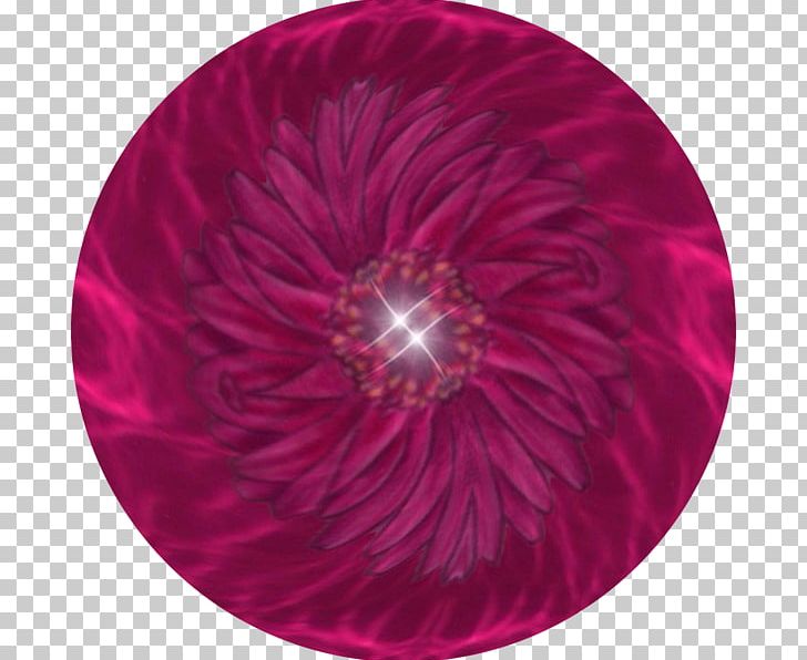 Magenta Circle PNG, Clipart, Circle, Flower, Glimmer, Magenta, Petal Free PNG Download